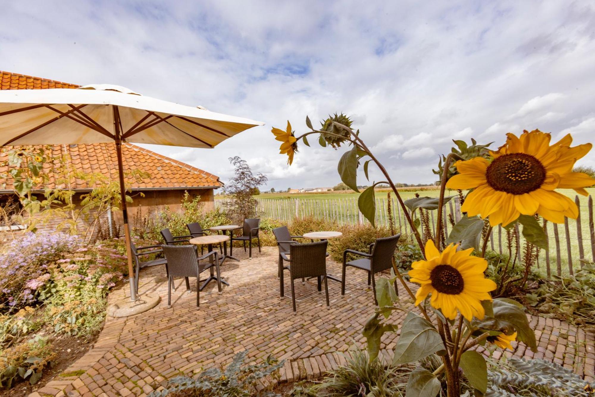 B&B Stefans Pottery Poperinge Luaran gambar