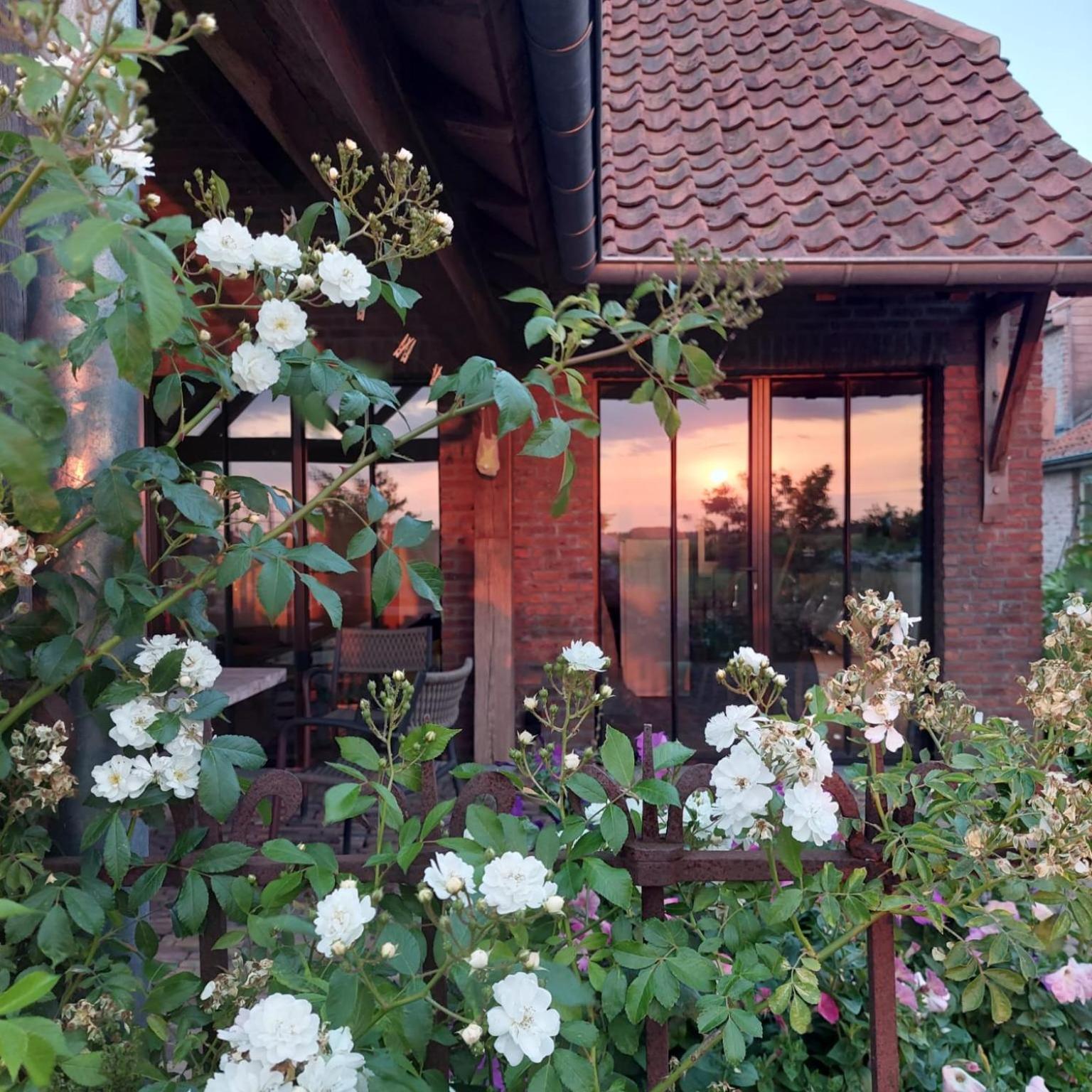 B&B Stefans Pottery Poperinge Luaran gambar
